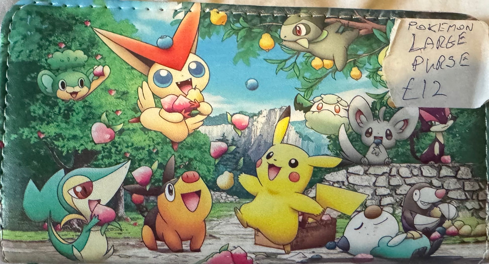 Large Women’s purses